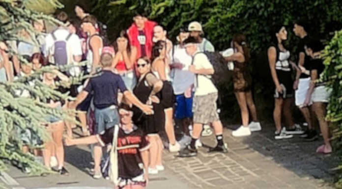 Bus sostitutivi sul lago: meno turisti, qualche disagio, più sicurezza