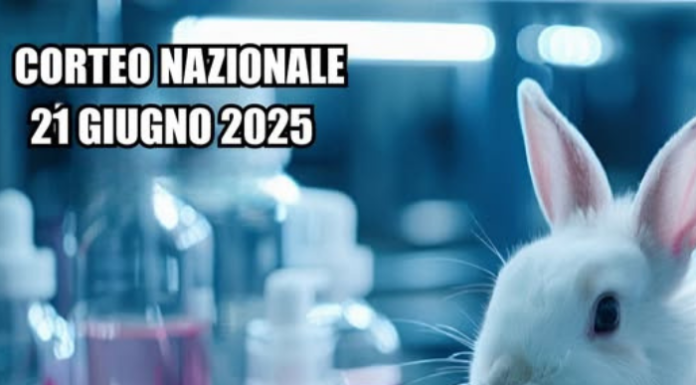 Calco. Mobilitazione Nazionale contro la Vivisezione e Charles River