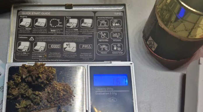 La Valletta Brianza: controlli serali con la Polizia locale e unità cinofila