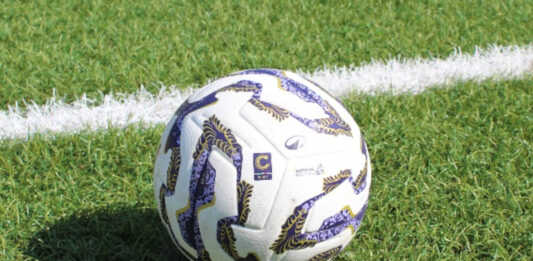 Serie C. Il calendario del Lecco dalla 24^ alla 31^ giornata Pallone calcio - Serie C 25/26