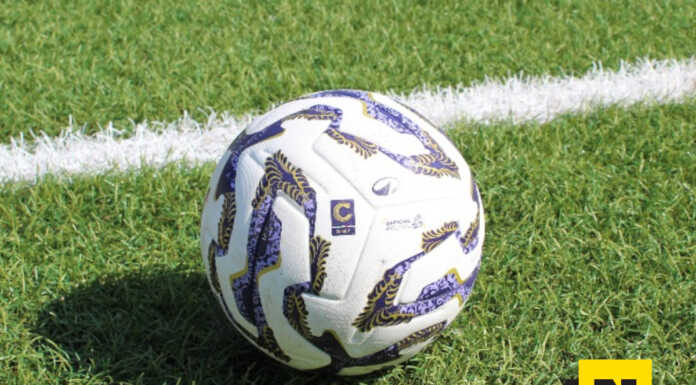 Serie C. Il calendario del Lecco dalla 17^ alla 20^ giornata Pallone calcio - Serie C 25/26