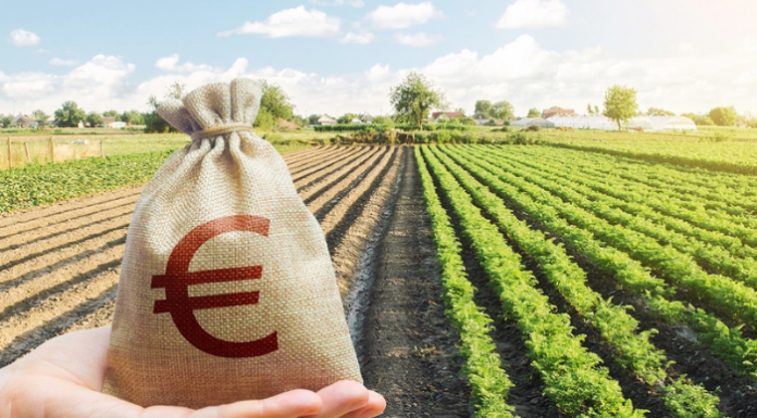 Agricoltura, Programmazione 2024. “Quasi 450 milioni erogati da Regione”