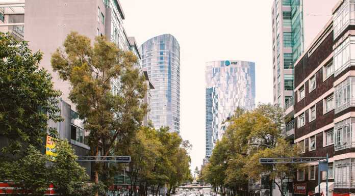 Meteo. Isola di calore urbana: il fenomeno spiegato da Arpa alberi città