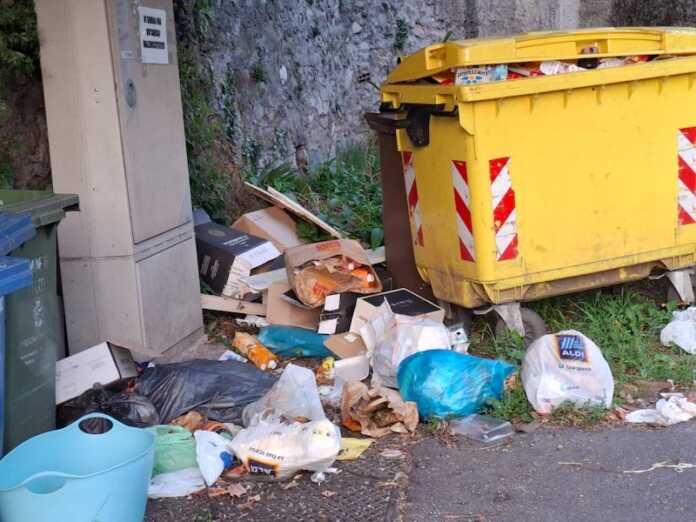 falghera-rifiuti abbandonati-2025-2