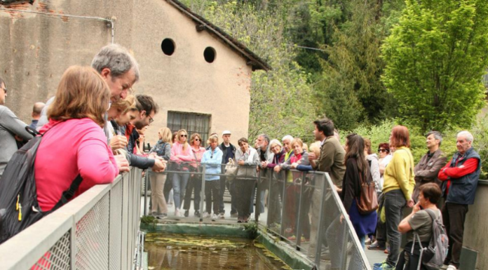 “Un fiume in Comune”, passeggiata guidata per amministratori e dipendenti