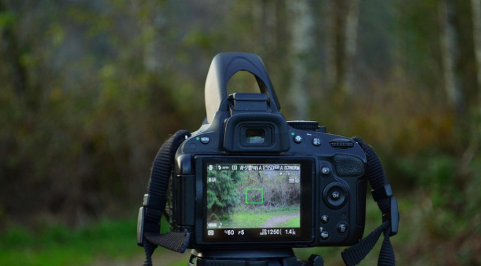 “Temi a confronto 2025”. Torna il torneo audiovisivo del Fotoclub Libero Pensiero (Image by Trevor205 from Pixabay)