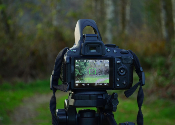 (Image by Trevor205 from Pixabay)