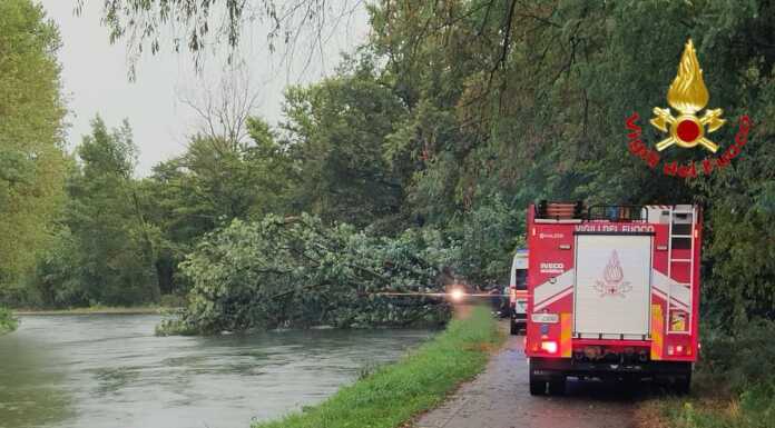 Maltempo nel Milanese: donna muore colpita da un albero