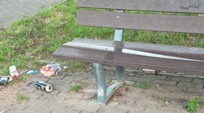 Schiamazzi, sporcizia e vandalismi nel rione di Castello, la denuncia di una residente