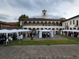 Care Job Day 2025, il settore della cura incontra le persone in cerca di lavoro