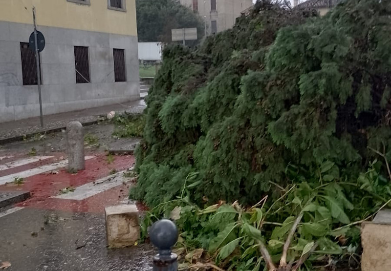 tromba aria Verderio