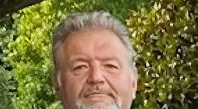 Brivio, scomparso improvvisamente Lorenzo Mazzoleni, ex vicesindaco lorenzo mazzoleni brivio