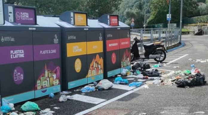 Oliveto. Rifiuti sparsi in strada, incursione di una famiglia di cinghiali