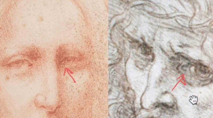 In un’importante opera di Leonardo scoperta la stessa firma del Cristo di Lecco