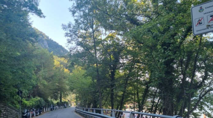 Oliveto. Oltre 300 multe in pochi giorni, super lavoro della Polizia Locale sul fronte sicurezza