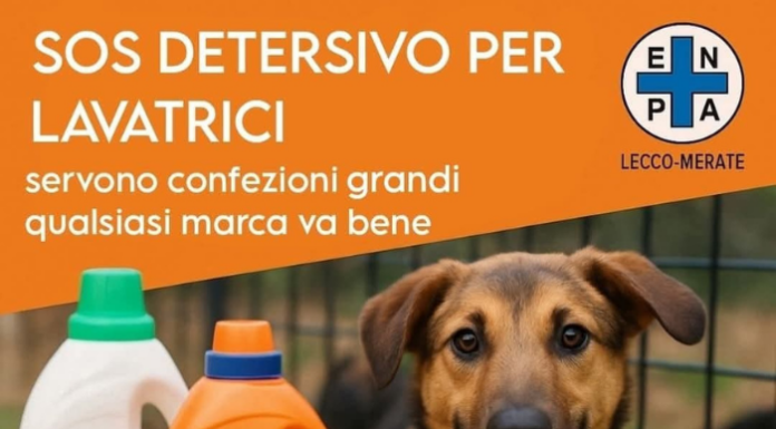 Enpa Merate lancia un appello urgente: “Servono detersivi per il canile” enpa