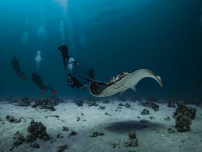 Esplorazioni fondali marini (Image from pixabay)