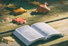 A Barzio la presentazione del libro “Ho cercato la verità” di Enrico Baroncelli (Image by Pexels from Pixabay)