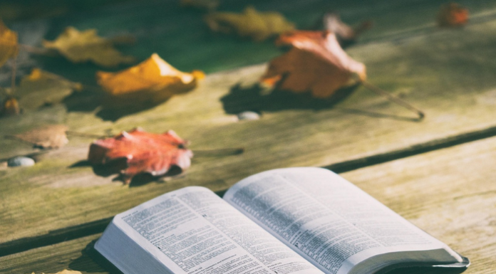 Galbiate. Barbara Bramati presenta il suo libro “Il cuore della mia vita” (Image by Pexels from Pixabay)