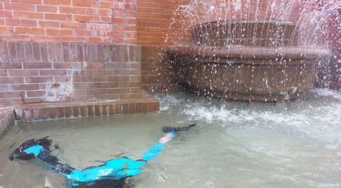 Monopattini a noleggio abbandonati in città, si riaccende il dibattito monopattino fontana stoppani