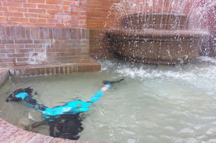 monopattino gettato nella fontana lecco monopattino fontana stoppani