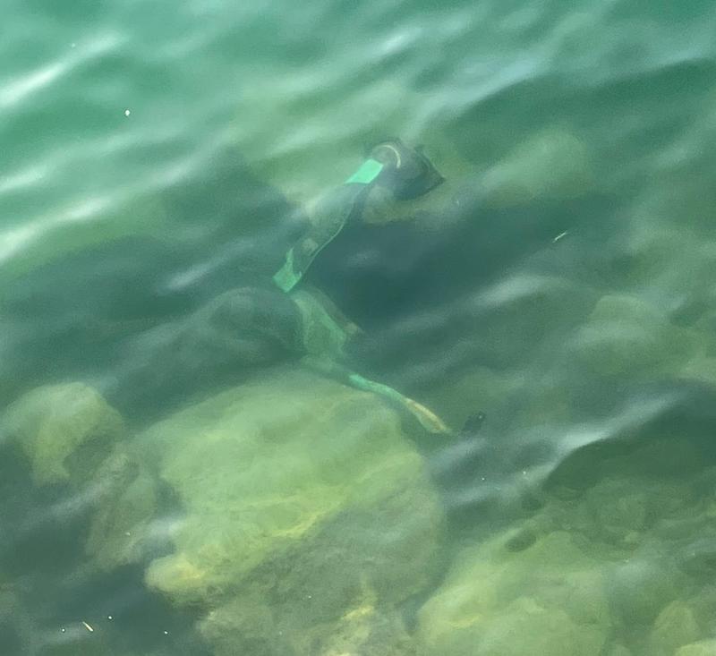 monopattino abbandonato nel lago