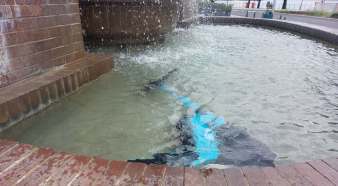Lecco, monopattino gettato nella fontana del monumento dedicato a Stoppani
