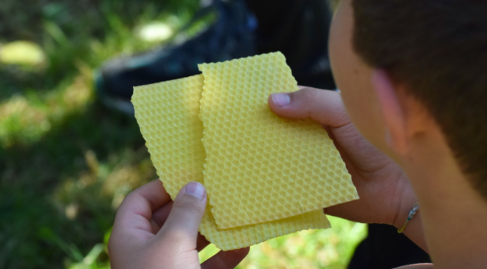 Educazione Ambientale. Il Parco Adda Nord lancia il nuovo catalogo per le scuole