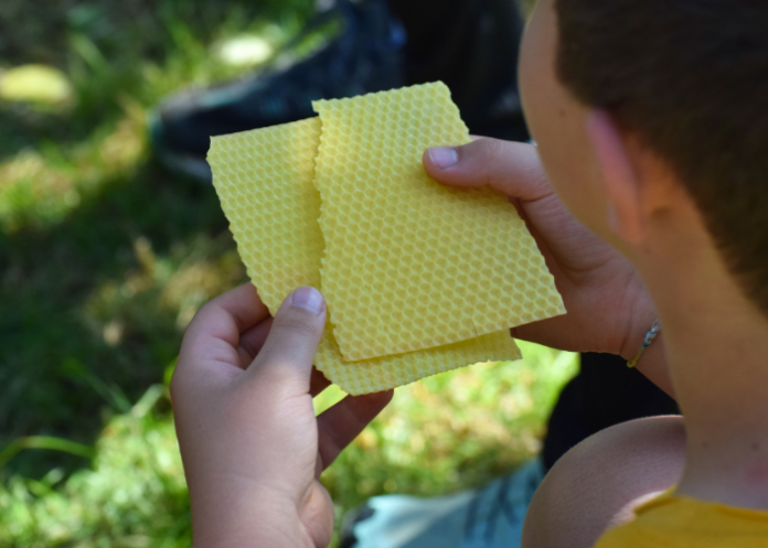 parco-adda-nord-iniziative