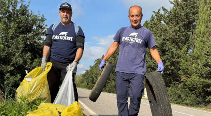 Tolleranza zero per chi getta rifiuti dall’auto: multe fino a 18.000 euro e, nei casi più gravi, l’arresto