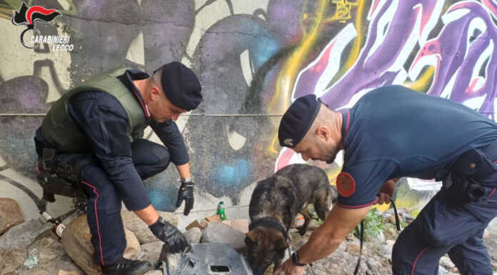 Colico: scoperte e smantellate tre postazioni di spaccio in mezzo ai boschi