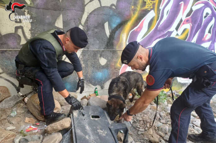 spaccio droga boschi colico