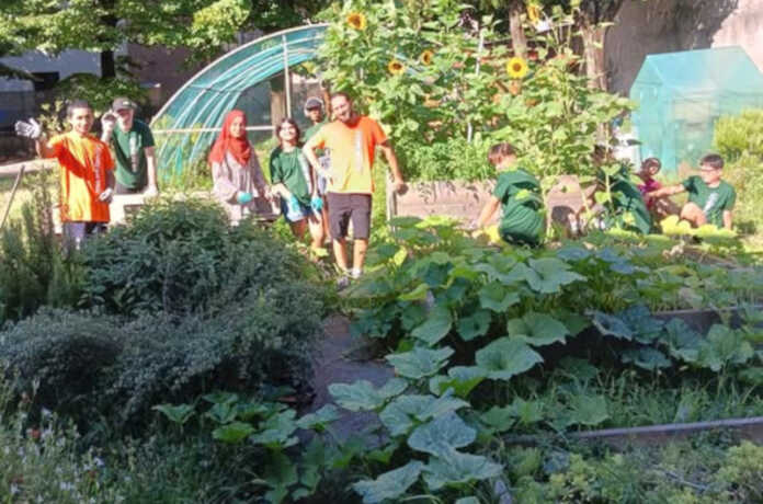 utilestate calolziocorte