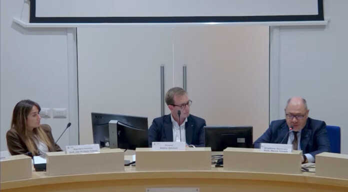 “Un ospedale vivo”: in Consiglio il dg Trivelli parla del Mandic senza celare le difficoltà