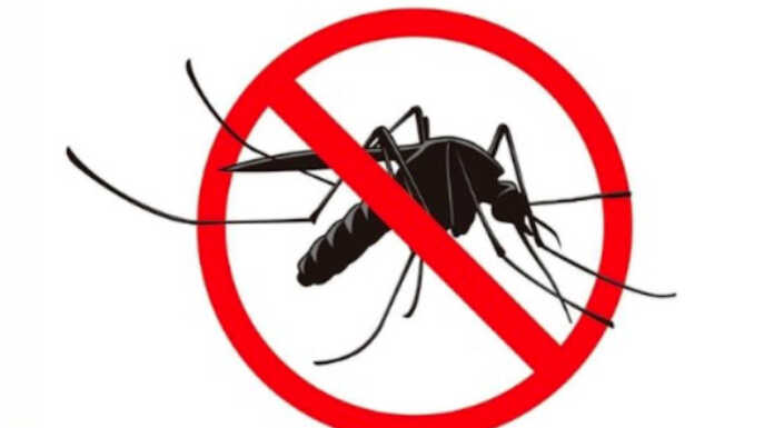 Monticello, sospetto caso Dengue: al via la disinfestazione