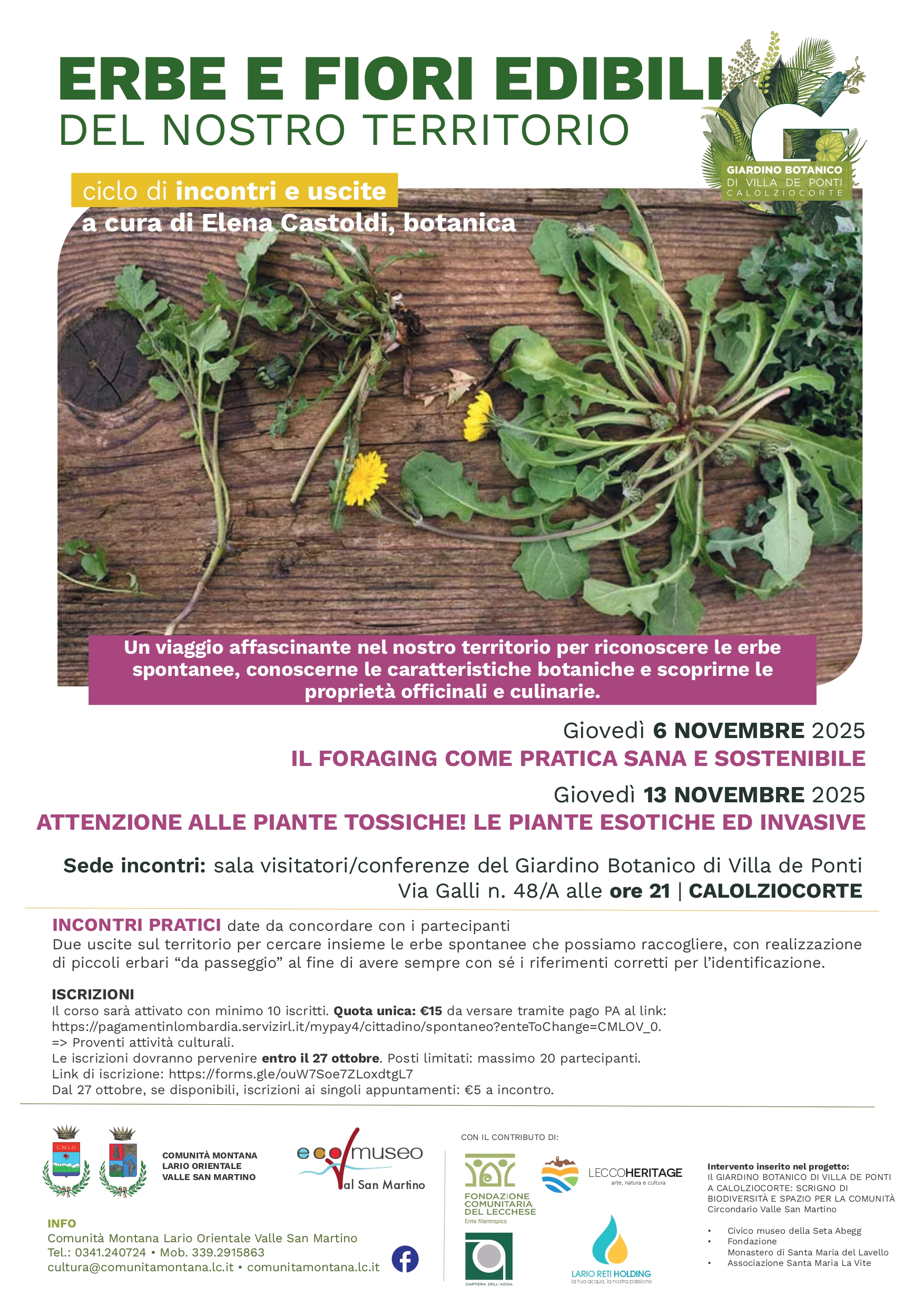 Corso erbe spontanee