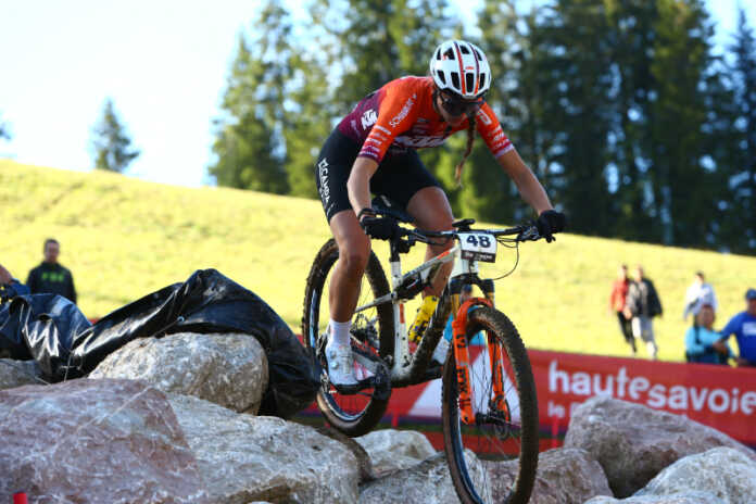 ktm-protek-elettrosystem-lugagnano ktm protek