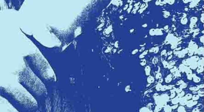 A Monte Marenzo va in scena lo spettacolo “Le Giostre”