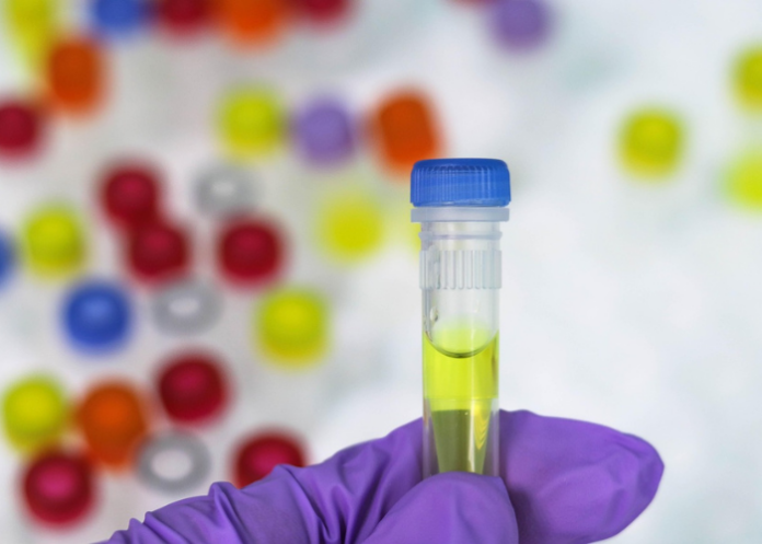 ricerca-scientifica-pixabay (Image by Belova59 from Pixabay)