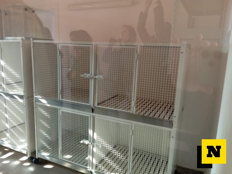 Lecco inaugurazione gattile comunale Parco Villa Guzzi