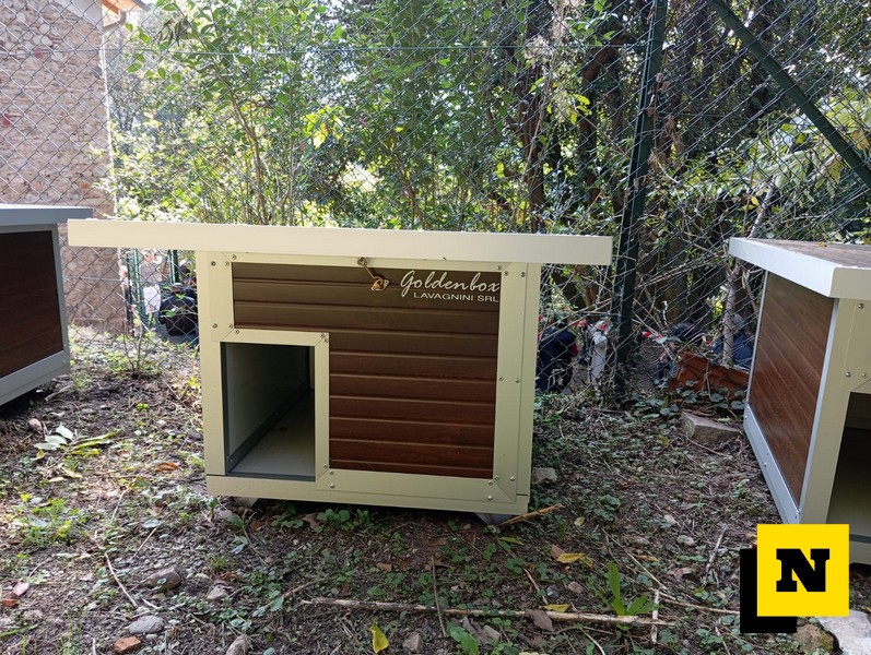 Lecco inaugurazione gattile comunale Parco Villa Guzzi