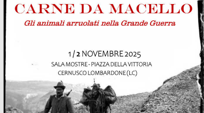 Cernusco, “Carne da macello”: una mostra per dire basta alle guerre