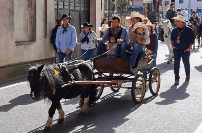 Introbio_ringraziamento15-1068x1320