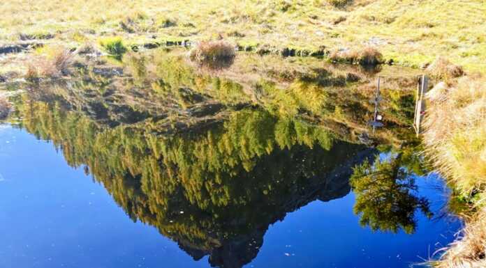 Riflessi d’autunno: da Pescegallo al rifugio Falc con Gian Mario Maver
