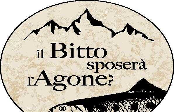 Referendum a Colico, il Comitato Pro Sondrio: “I nostri numeri inequivocabili”