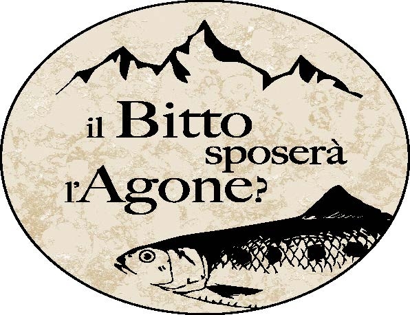 il-bitto-sposerà-lagone