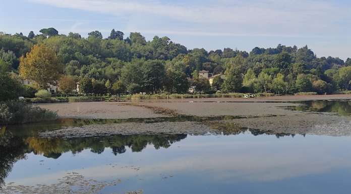 Provincia di Lecco e Autorità di Bacino insieme per la tutela dei laghi Sfalcio alghe Lago di Annone