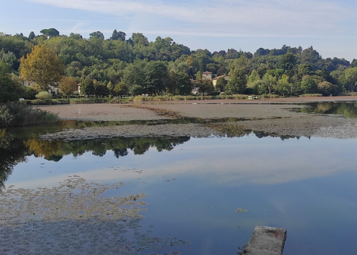 Sfalcio alghe Lago di Annone