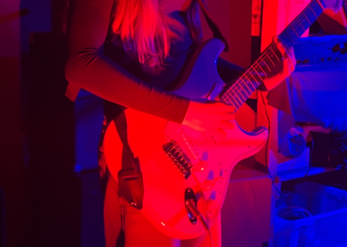 Un particolare della band "The Waffles" durante l'esibizione di sabato 29/03/2025 c/o il circolo Arci Spazio condiviso di Calolziocorte