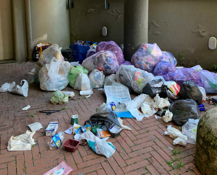 malavedo rifiuti (2) malavedo rifiuti